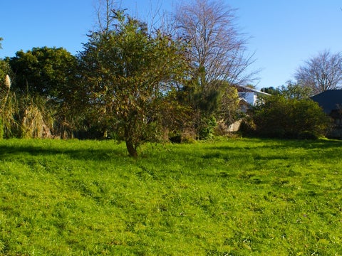 15 Balmoral Drive, Terrace End, Palmerston North