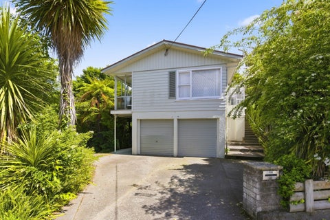 111 Winchester Street, Levin, Levin