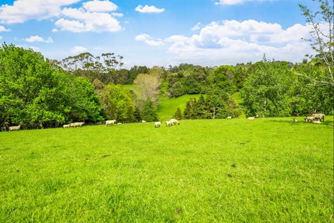 46 Wilson Road, Warkworth, Warkworth