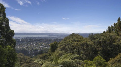 43 Kohu Road, Titirangi, Auckland