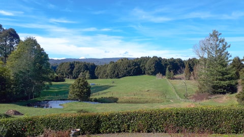 143B Otapouri Road, Owhango, Owhango