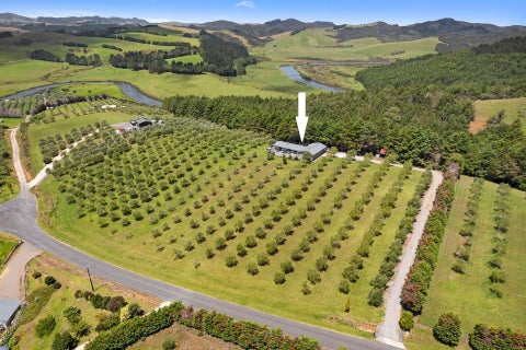 72 Leccino Valley Road, Mangonui, Mangonui