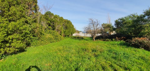 38 Fox Street, Featherston