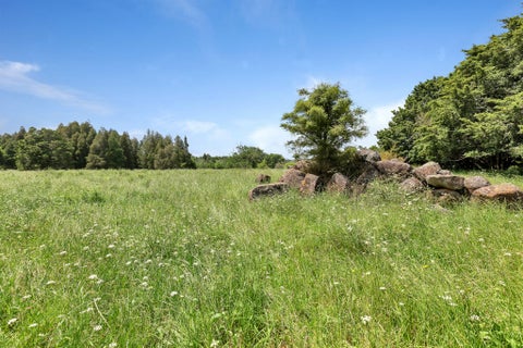 527 Whatitiri Road, Poroti, Whangārei
