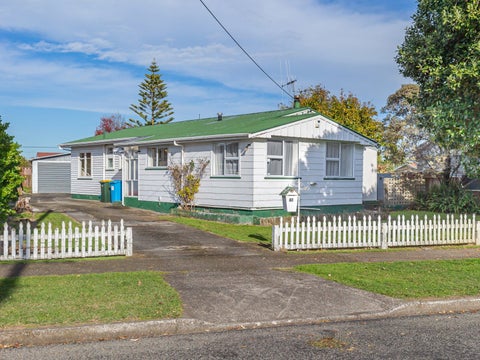 47 Duke Street, Levin, Levin