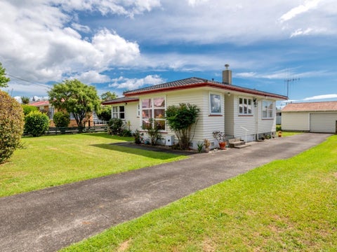 27 Edinburgh Street, Levin, Levin