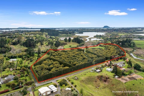 0 Old Highway, Whakamarama, Whakamarama
