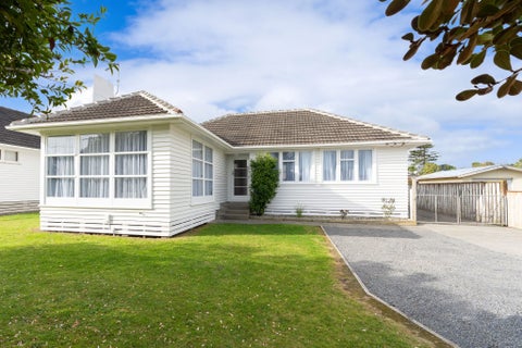20 Gardener Street, Levin, Levin