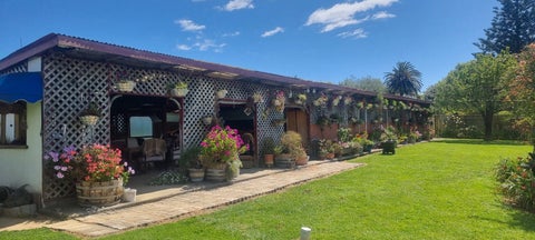 54 Mcleavey Road, Ohau, Levin