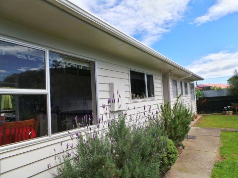 6 Windsor Place, Levin, Levin