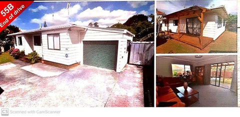 55B Tripoli Road, Panmure, Auckland