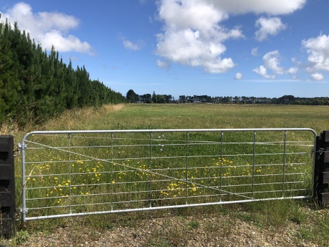 145 Motuiti Road, Foxton, Foxton