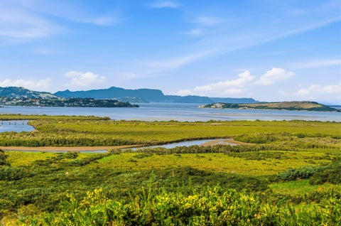 30 Toetoe Road, Otaika, Whangarei