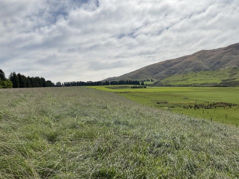 89 Fairlie-Tekapo Road, Fairlie, Fairlie