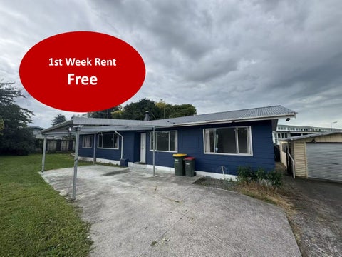 10 Holmes Street, Nawton, Hamilton