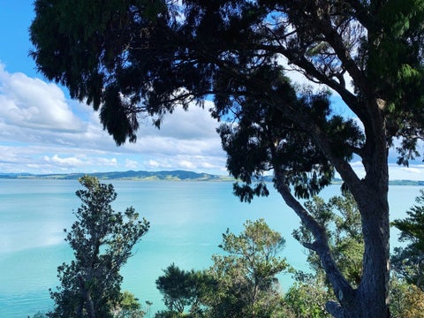 84 Manganese Point Road, Tamaterau, Whangārei