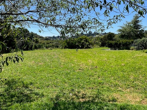 160 Carmichael Road, Bethlehem, Tauranga