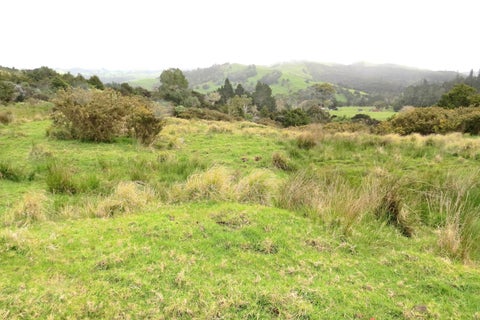 0 Copper Mine Road, Kaeo, Kaeo