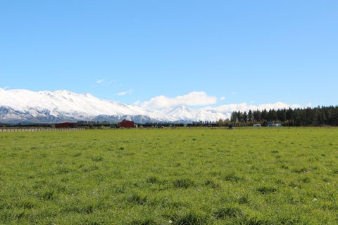 770 Hamilton Road, Ashwick Flat, Fairlie