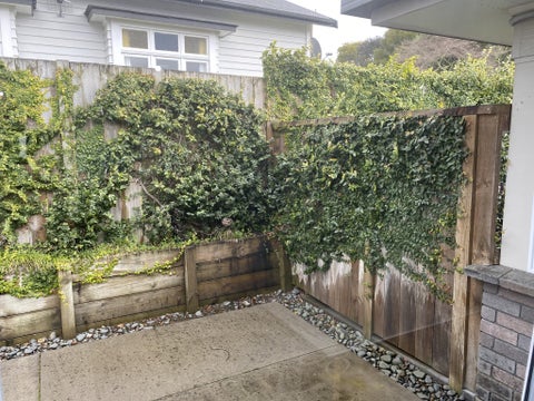 5/7 Stanley Street, Claudelands, Hamilton