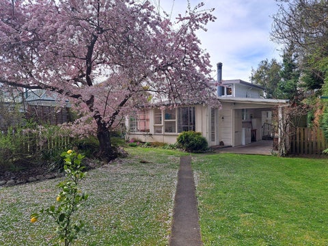 53A McKenzie Street, Geraldine, Geraldine
