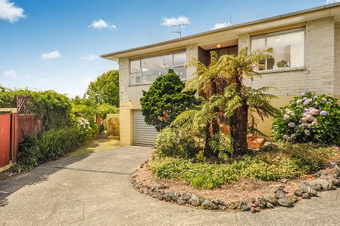 109A Olsen Avenue, Hillsborough, Auckland
