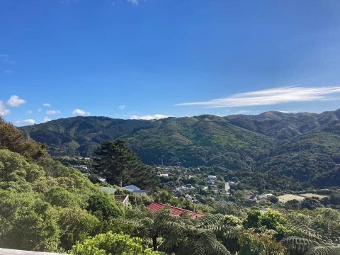 194 Cecil Road, Wilton, Wellington