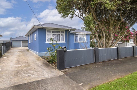 20 Wilton Street, Levin, Levin