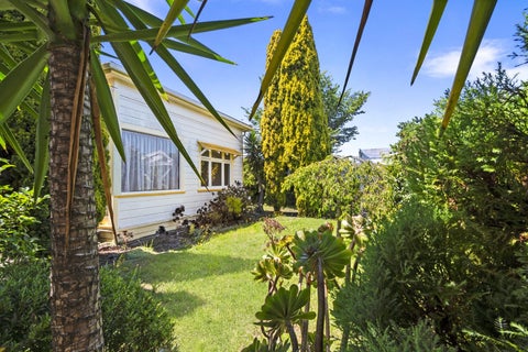 317 Albert Street, Hokowhitu, Palmerston North