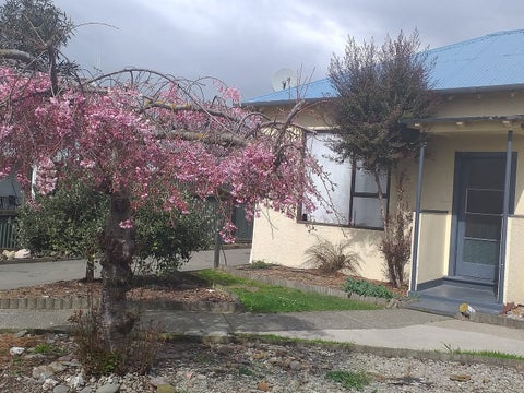 29 Orwell Street, Oamaru