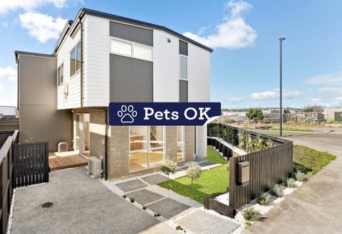 38A Waterlily Street, Hobsonville, Auckland