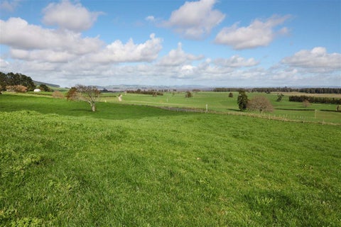 1252 Waikare Road, Waerenga, Te Kauwhata