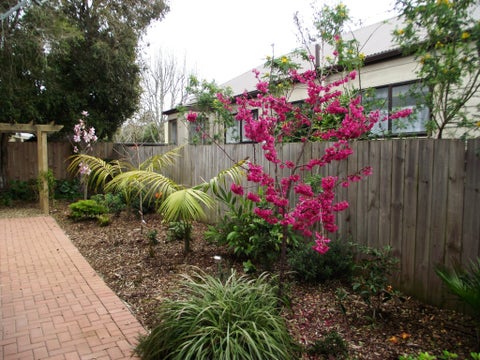 41A Howard Hunter Avenue, Saint Johns, Auckland