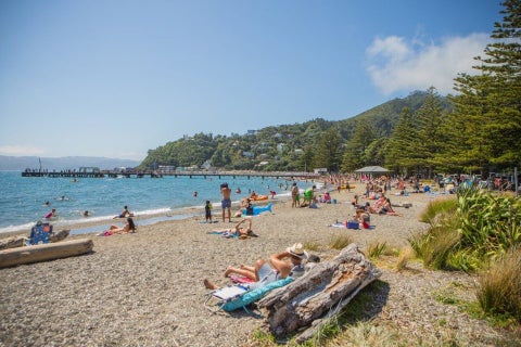 6A Ferry Road, Days Bay, Lower Hutt