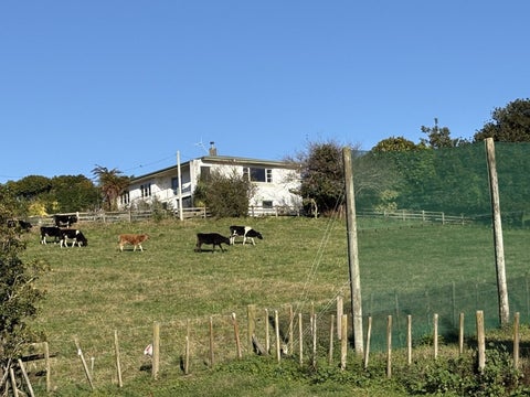 17 Hyde Street, Katikati, Katikati