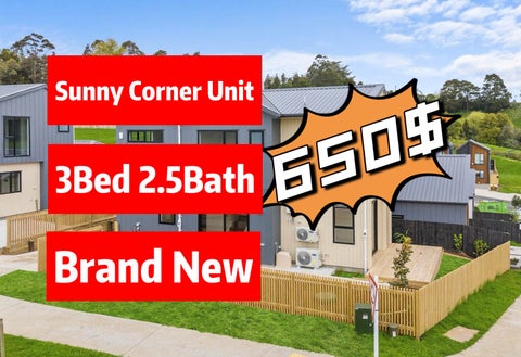 38 Nanjing Road, Pukekohe, Pukekohe