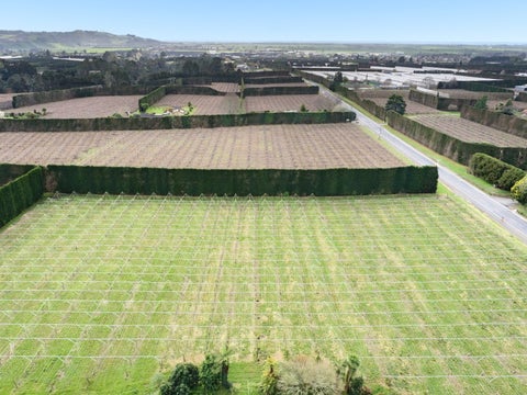 312 No 3 Road, Te Puke, Te Puke