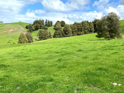 23 Mairoa Road, Piopio, Piopio