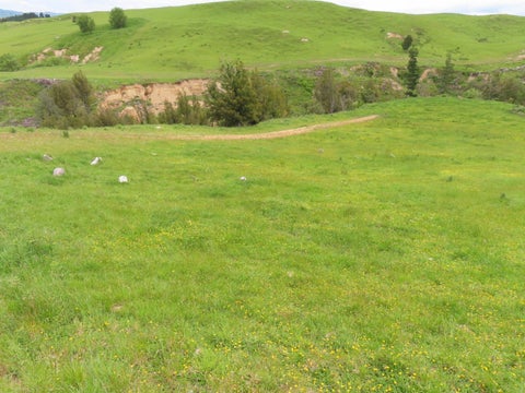 0 Maunga Road, DANNEVIRKE, DANNEVIRKE