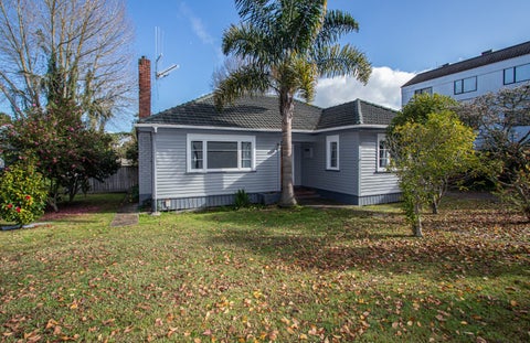 675 Grey Street, Hamilton East, Hamilton