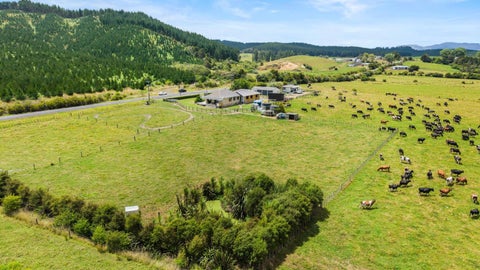 353 Kopuku Road, Maramarua Forest, Te Kauwhata