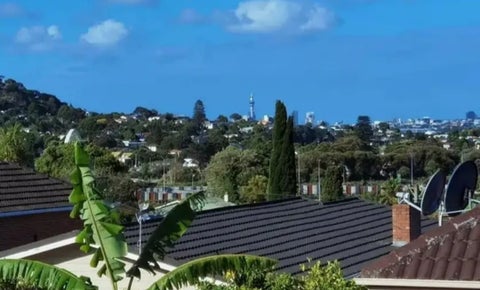 1/25 Brothers Street, New Windsor, Auckland