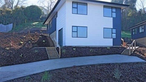 8 Valerie Place, Stepneyville, Nelson