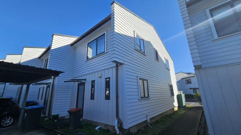 3 Burton Street, Grafton, Auckland