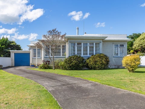 4 Douglas Street, Levin, Levin