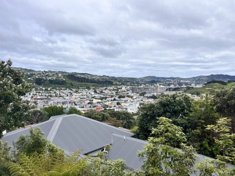 141 Coromandel Street, Newtown, Wellington