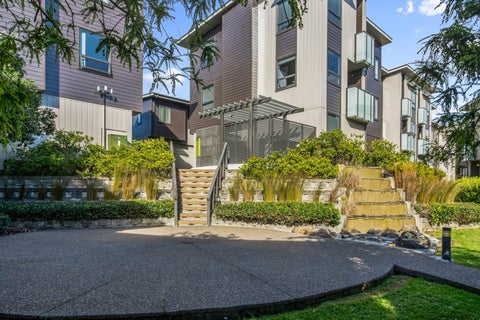 22 Harold Street, Mount Eden, Auckland