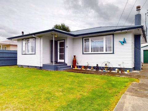 11 Ferguson Street, Levin, Levin