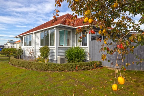 167 Mangapiko Street, Te Awamutu, Te Awamutu