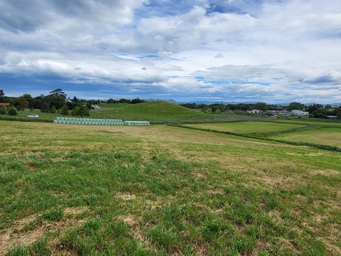 0 Edinburgh Street, Feilding, Feilding
